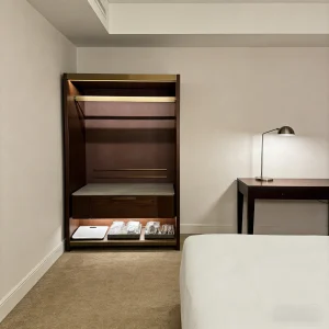 Hotel Luggage Cabinet LC02 (2)