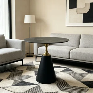 Stylish Coffee Table CT13